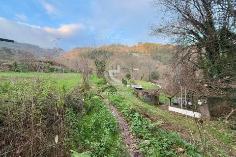 Tomt i Arcos de Valdevez, Viana do Castelo, Arcos de Valdevez - € 25 000 | Ref: AV6579 - foto 7