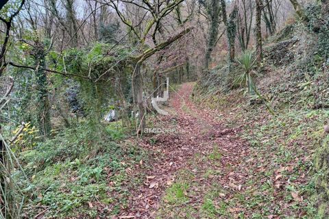 Tomt i Arcos de Valdevez, Viana do Castelo, Arcos de Valdevez - € 25 000 | Ref: AV6579 - foto 12