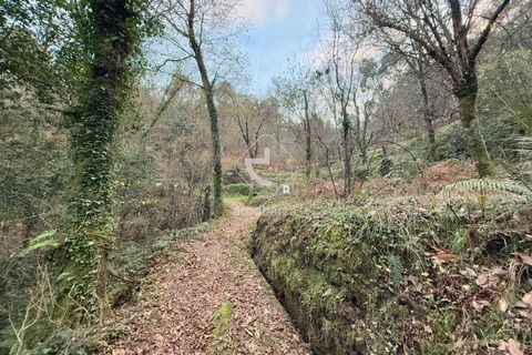 Tomt i Arcos de Valdevez, Viana do Castelo, Arcos de Valdevez - € 25 000 | Ref: AV6579 - foto 13