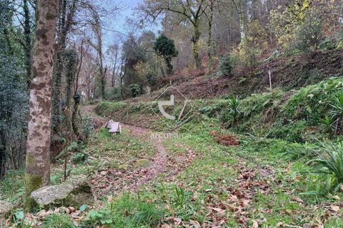 Tomt i Arcos de Valdevez, Viana do Castelo, Arcos de Valdevez - € 25 000 | Ref: AV6579 - foto 17