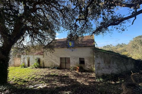 Farm hus i Obidos, Leiria, Obidos - € 350.000 | Ref: CAL-217010 - foto 3