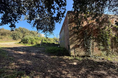 Farm hus i Obidos, Leiria, Obidos - € 350.000 | Ref: CAL-217010 - foto 5