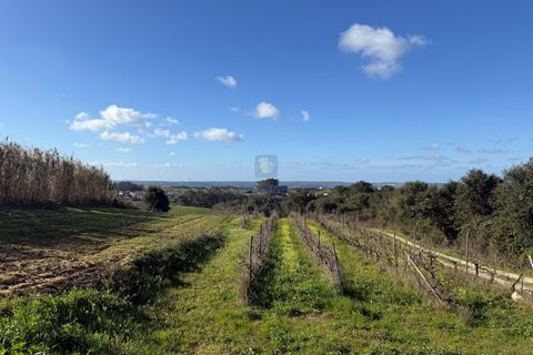 Farm hus i Obidos, Leiria, Obidos - € 350.000 | Ref: CAL-217010 - foto 6