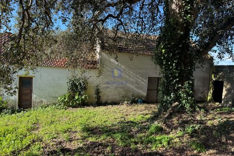 Farm hus i Obidos, Leiria, Obidos - € 350.000 | Ref: CAL-217010 - foto 8