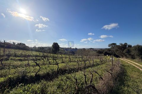 Farm hus i Obidos, Leiria, Obidos - € 350.000 | Ref: CAL-217010 - foto 11