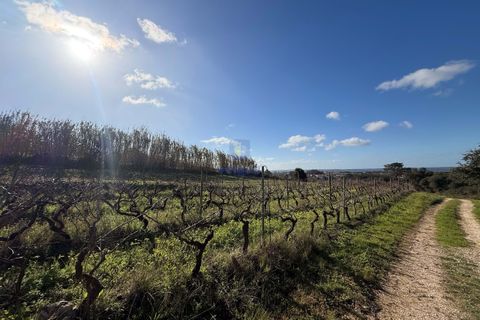 Farm hus i Obidos, Leiria, Obidos - € 350.000 | Ref: CAL-217010 - foto 12