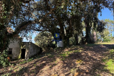 Farm hus i Obidos, Leiria, Obidos - € 350.000 | Ref: CAL-217010 - foto 15