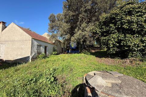 Farm hus i Obidos, Leiria, Obidos - € 350.000 | Ref: CAL-217010 - foto 18