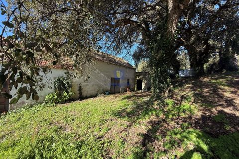 Farm hus i Obidos, Leiria, Obidos - € 350.000 | Ref: CAL-217010 - foto 20