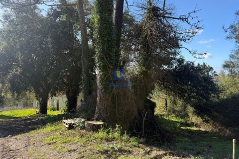 Farm hus i Obidos, Leiria, Obidos - € 350.000 | Ref: CAL-217010 - foto 22