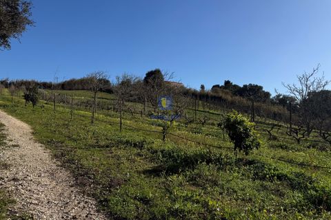 Farm hus i Obidos, Leiria, Obidos - € 350.000 | Ref: CAL-217010 - foto 25