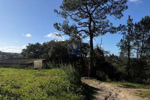 Farm hus i Obidos, Leiria, Obidos - € 350.000 | Ref: CAL-217010 - foto 26