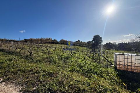 Farm hus i Obidos, Leiria, Obidos - € 350.000 | Ref: CAL-217010 - foto 27