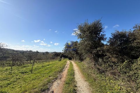 Farm hus i Obidos, Leiria, Obidos - € 350.000 | Ref: CAL-217010 - foto 29