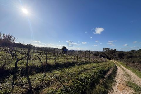 Farm hus i Obidos, Leiria, Obidos - € 350.000 | Ref: CAL-217010 - foto 30