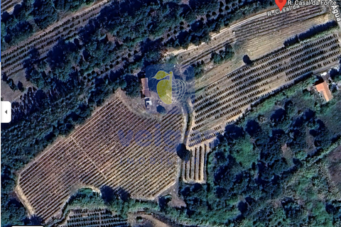Farm hus i Obidos, Leiria, Obidos - € 350.000 | Ref: CAL-217010 - foto 32