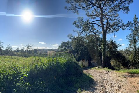 Farm hus i Obidos, Leiria, Obidos - € 350.000 | Ref: CAL-217010 - foto 35