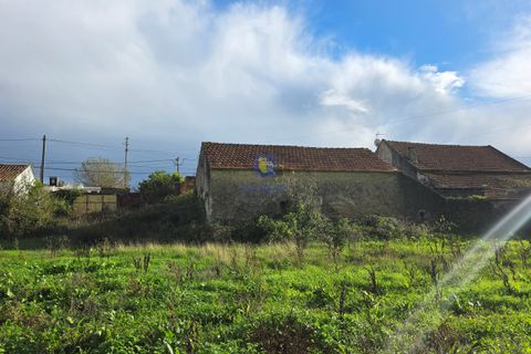 Villa i Caldas da Rainha, Leiria, Caldas da Rainha - € 165.000 | Ref: CAL-217011 - foto 2