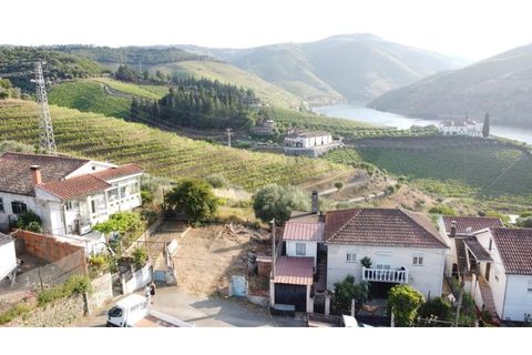 Terra a Folgosa, Viseu, Folgosa - € 75.000 | Ref: KWPT-025485 - foto 2