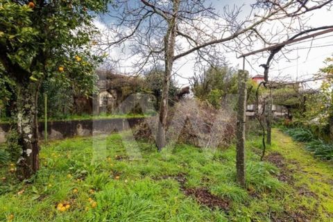 Villa i Guimaraes, Braga, Guimaraes - € 490.000 | Ref: 1214-4517 - foto 48