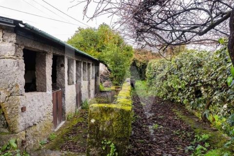 Villa i Guimaraes, Braga, Guimaraes - € 490.000 | Ref: 1214-4517 - foto 50
