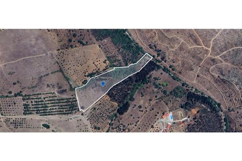 Helårsgrund i Alter do Chao, Portalegre, Alter do Chao - € 25.000 | Ref: KWPT-026326 - foto 6
