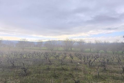 Helårsgrund i Chaves, Vila Real, Chaves - € 20.000 | Ref: C0533-00074 - foto 2
