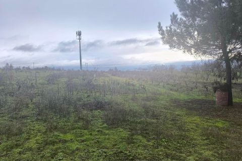 Helårsgrund i Chaves, Vila Real, Chaves - € 20.000 | Ref: C0533-00074 - foto 8
