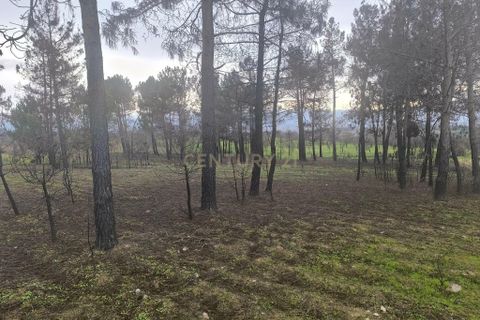 Helårsgrund i Chaves, Vila Real, Chaves - € 20.000 | Ref: C0533-00074 - foto 11