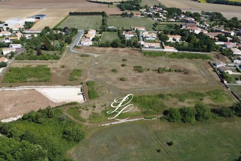 Terra a Benet, Vendee, Benet - € 230.000 | Ref: Benet00001 - foto 3