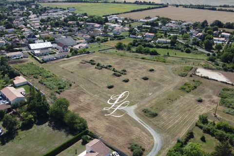 Terra a Benet, Vendee, Benet - € 230.000 | Ref: Benet00001 - foto 5