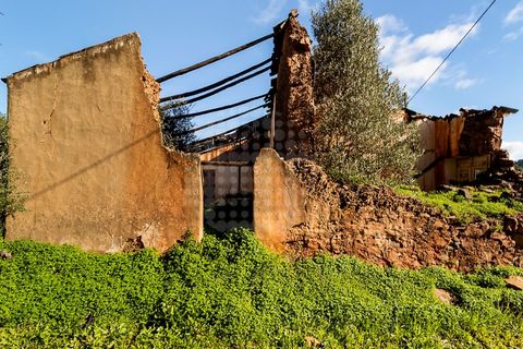 Farm i Silves, Faro, Silves - € 765.000 | Ref: AGM-MCD007 - foto 4