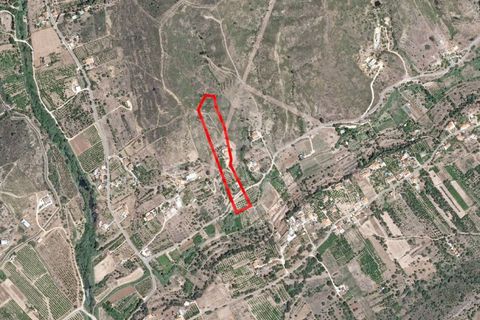 Farm i Silves, Faro, Silves - € 765.000 | Ref: AGM-MCD007 - foto 45