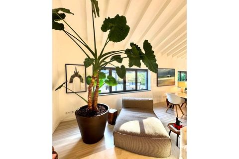 Villa i Alcabideche, Lisbon, Alcabideche - € 1.690.000 | Ref: P5024 - foto 5