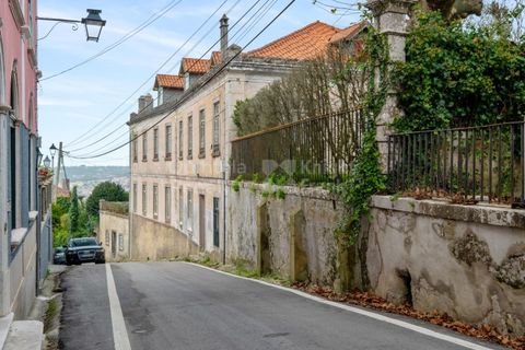 Farm i Sintra, Lisbon, Sintra - € 4.000.000 | Ref: PROP-33524 - foto 6