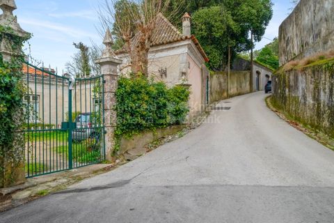 Farm i Sintra, Lisbon, Sintra - € 4.000.000 | Ref: PROP-33524 - foto 7