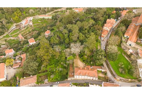 Farm i Sintra, Lisbon, Sintra - € 4.000.000 | Ref: PROP-33524 - foto 9