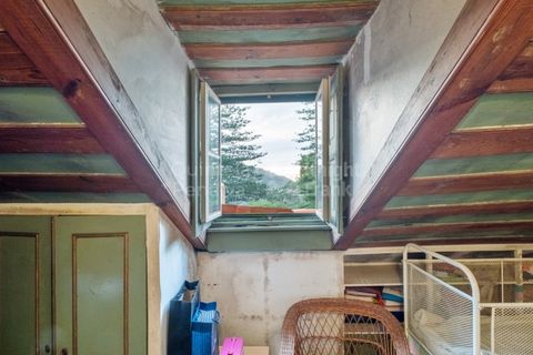 Farm i Sintra, Lisbon, Sintra - € 4.000.000 | Ref: PROP-33524 - foto 31