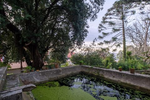Farm i Sintra, Lisbon, Sintra - € 4.000.000 | Ref: PROP-33524 - foto 4