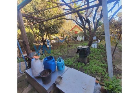 Byhus i Belas, Lisbon, Belas - € 1.950.000 | Ref: APA_223 - foto 10