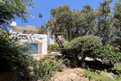 Villa i Porto-Vecchio, Corse-du-Sud, Porto-Vecchio - € 1.600.000 | Ref: 86643915 - foto 21