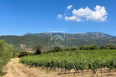 Villa i Figari, Corse-du-Sud, Figari - € 695.000 | Ref: 86643938 - foto 19