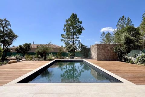 Villa i Porto-Vecchio, Corse-du-Sud, Porto-Vecchio - € 1.250.000 | Ref: 86643947 - foto 4