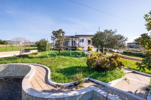 Villa en Anadia, Aveiro, Anadia - € 390.000 | Ref: IE402 - photo 34