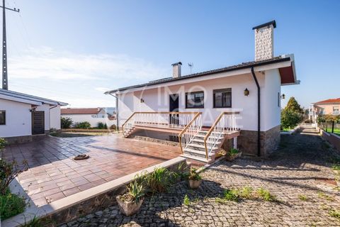 Villa en Anadia, Aveiro, Anadia - € 390.000 | Ref: IE402 - photo 47