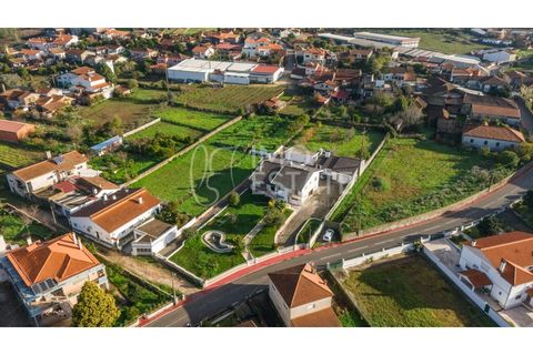 Villa en Anadia, Aveiro, Anadia - € 390.000 | Ref: IE402 - photo 48