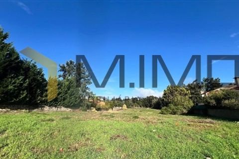 Helårsgrund i Sintra, Lisbon, Sintra - € 1.310.000 | Ref: M2602 - foto 7