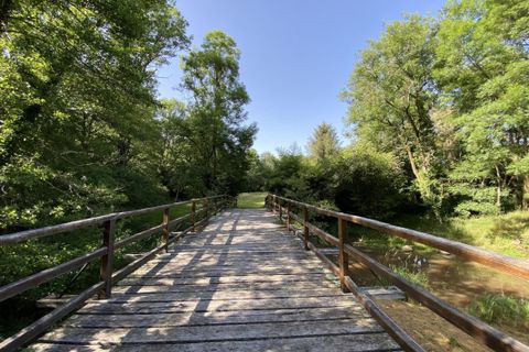 Villa a Busserolles, Dordogne, Busserolles - € 850.000 | Ref: DF6590CB56FC4F64 - foto 7