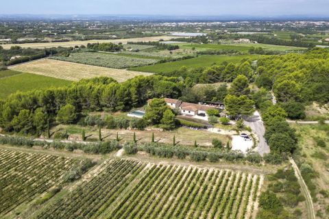Farm i Mazan, Vaucluse, Mazan - € 3.900.000 | Ref: BCB16F05DC534387 - foto 17