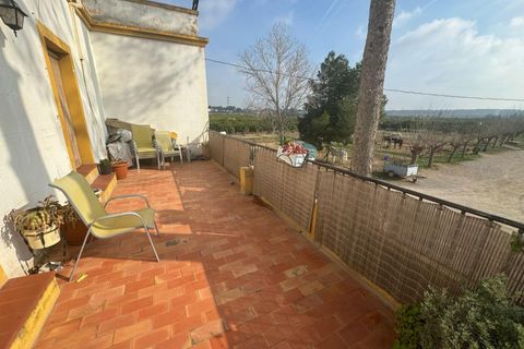 Villa i Riba-Roja De Turia, Valencia, Riba-Roja De Turia - € 590.000 | Ref: V337/6084 - foto 13